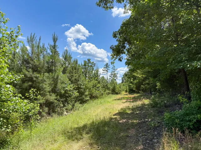 $467,740 | 0 Cool Branch Road, Carlisle, SC 29031