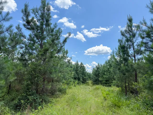 $467,740 | 0 Cool Branch Road, Carlisle, SC 29031