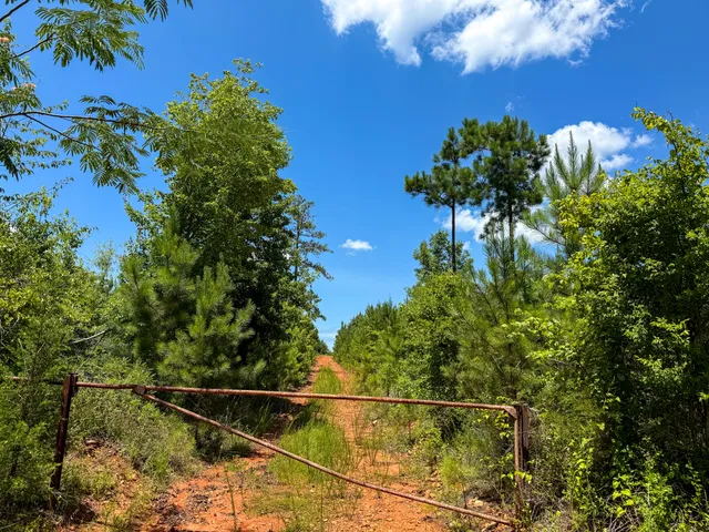 $467,740 | 0 Cool Branch Road, Carlisle, SC 29031