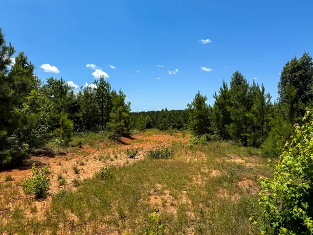 $467,740 | 0 Cool Branch Road, Carlisle, SC 29031