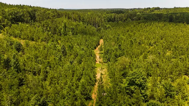 $467,740 | 0 Cool Branch Road, Carlisle, SC 29031