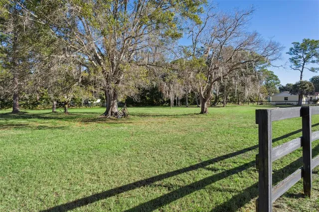 a view of a park with large trees