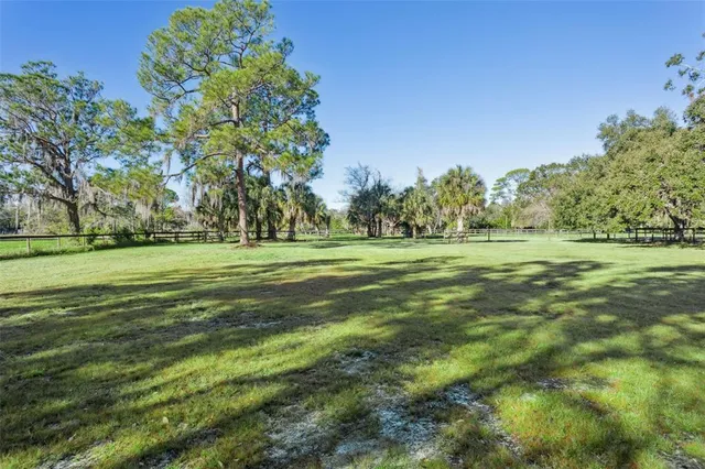 a big yard with lots of green space