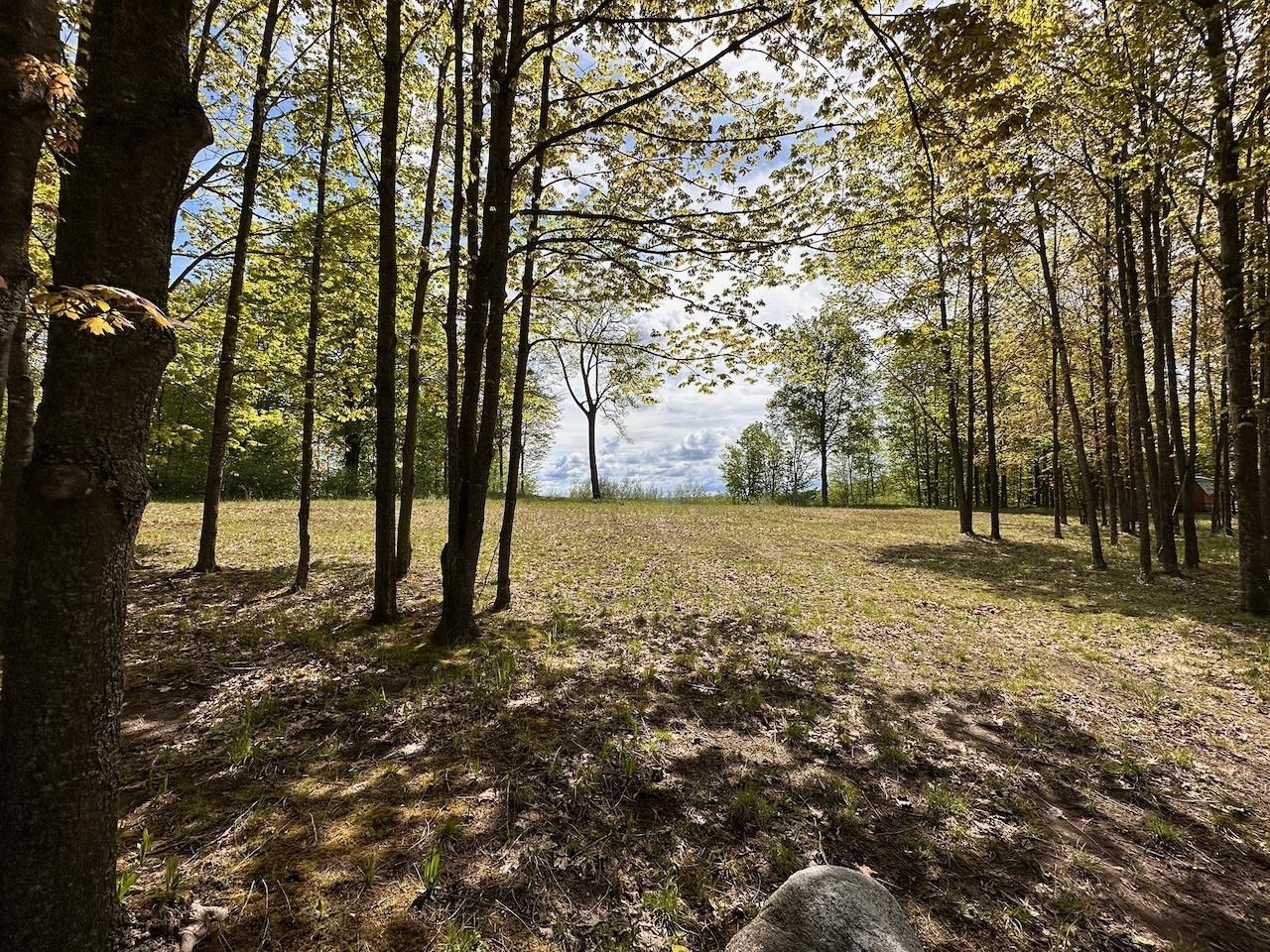 7 Miley Point Bellaire, MI 49615 - Photo 24 of 35 1922223-fc9b2a83-aceb-469a-81a6-6488b0aa1a8a.JPG