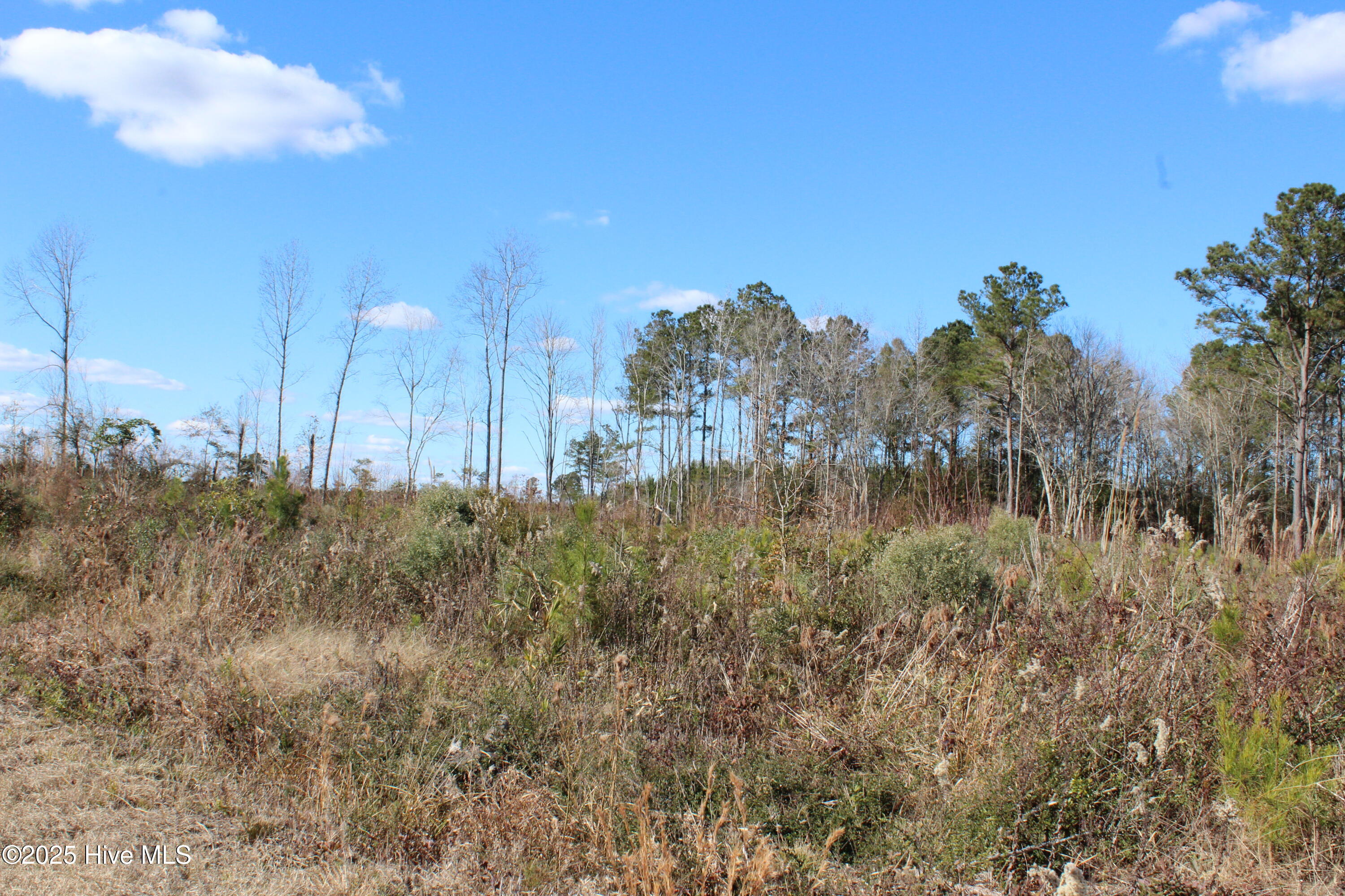 Lot 1 Richlands Road Trenton, NC 28585 - Photo 3 of 3 IMG_5302