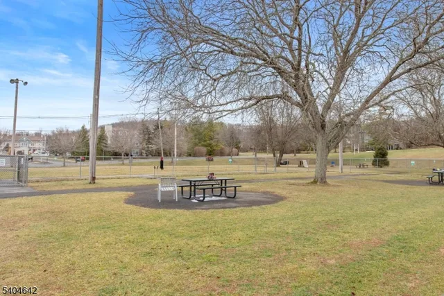 a view of yard with tree