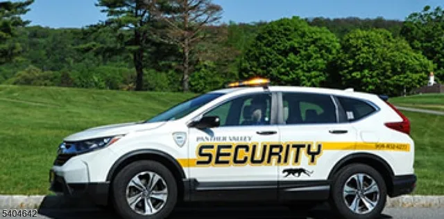a view of car parked in the yard