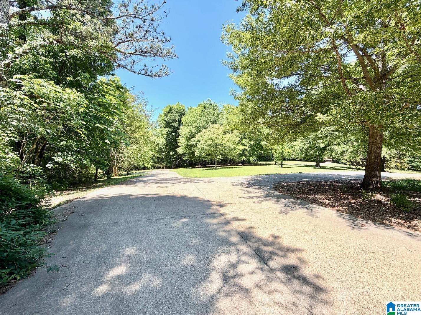 1097 Gnatville Road Piedmont, AL 36272 - Photo 5 of 79