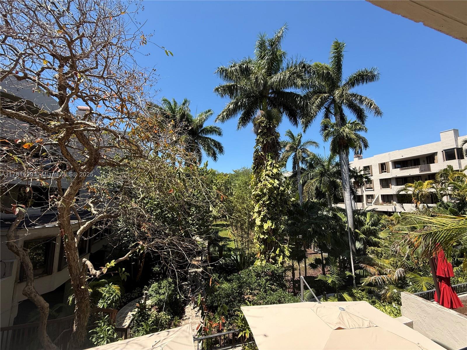 161 Crandon Boulevard, Unit 221 Key Biscayne, FL 33149 - Photo 1 of 13 a picture of plants