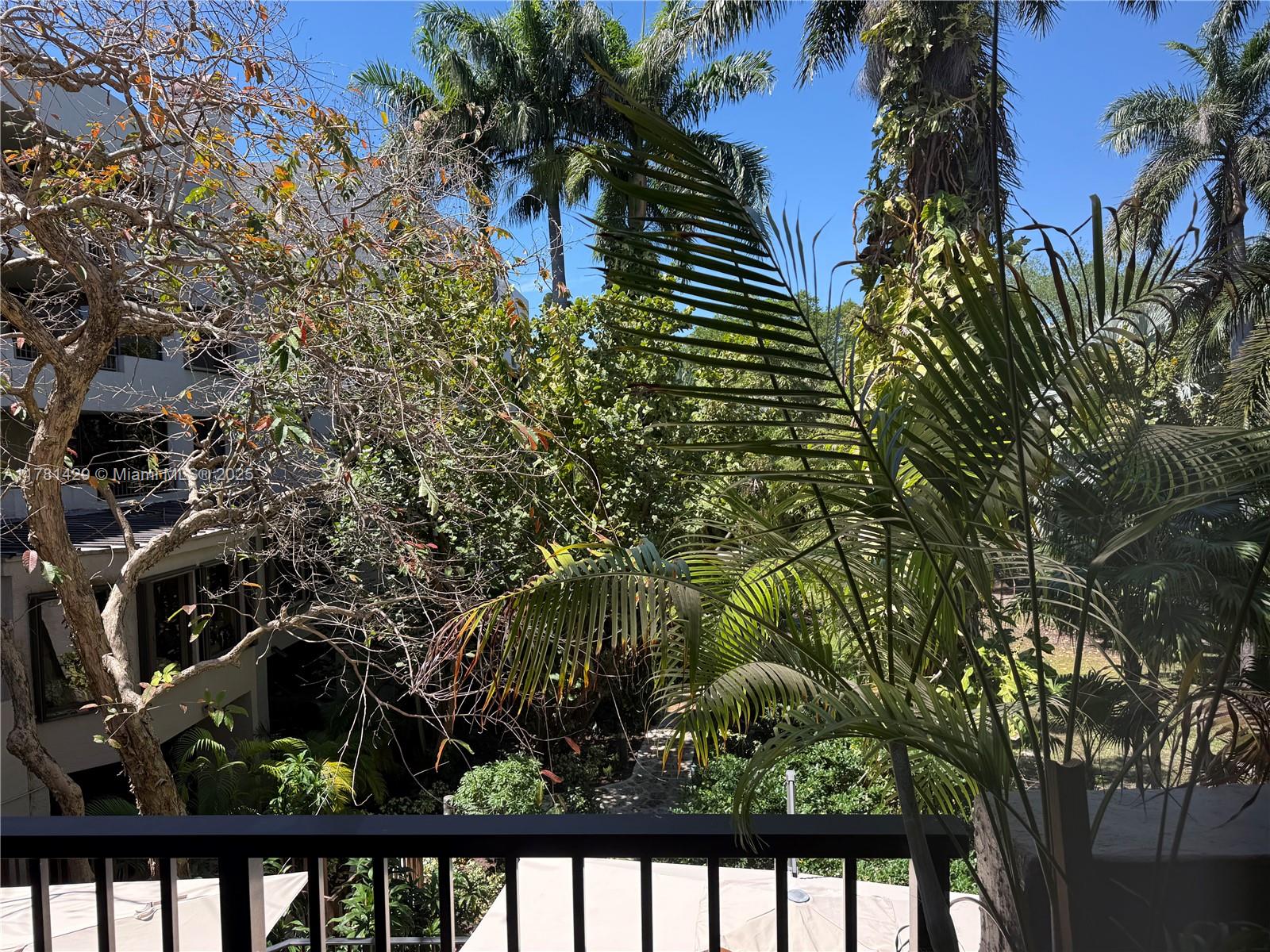 161 Crandon Boulevard, Unit 221 Key Biscayne, FL 33149 - Photo 13 of 13 a view of a yard