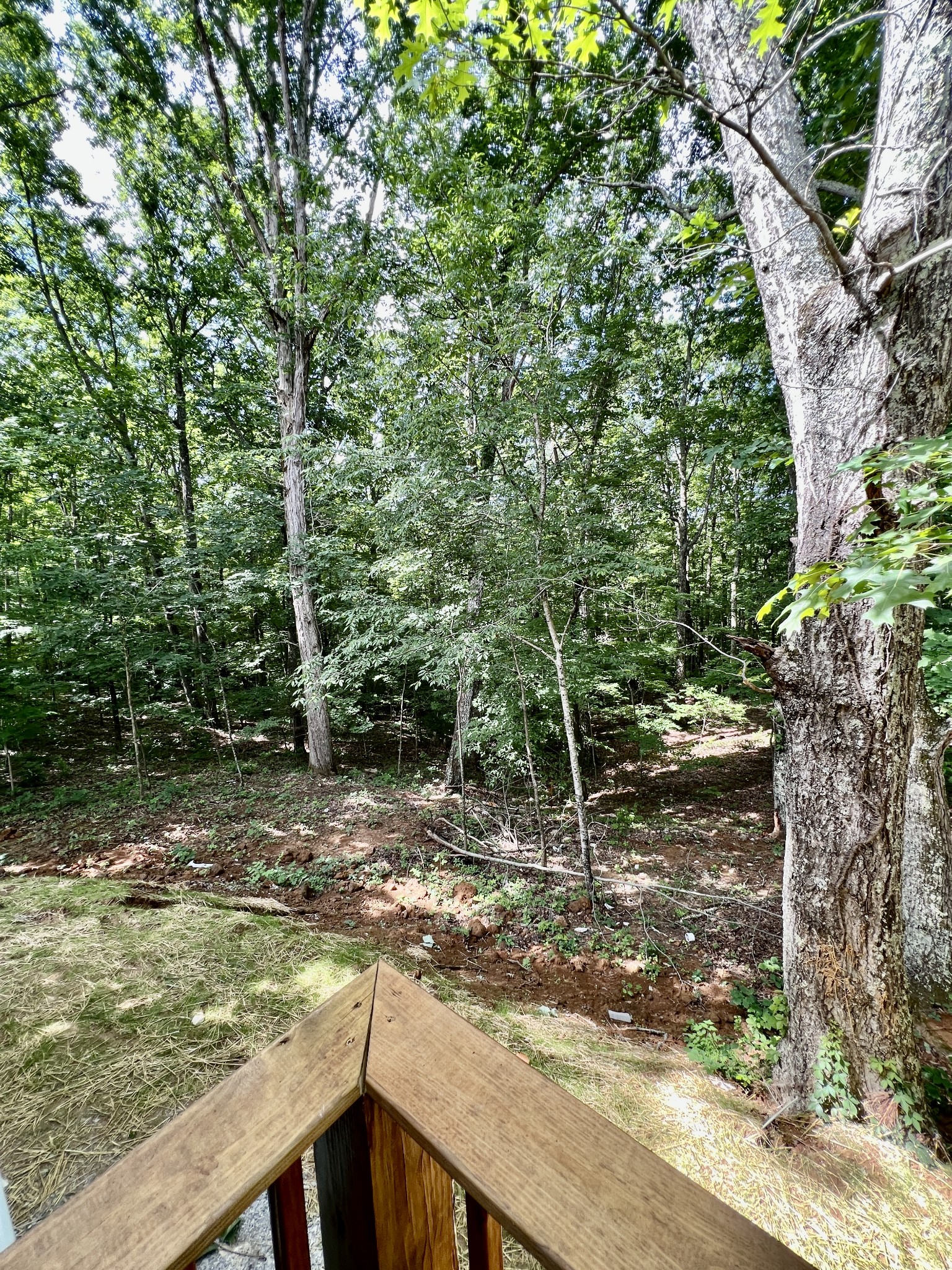 341 Back Bone Road Sparta, TN 38583 - Photo 20 of 21 a view of a tree in the middle of a yard