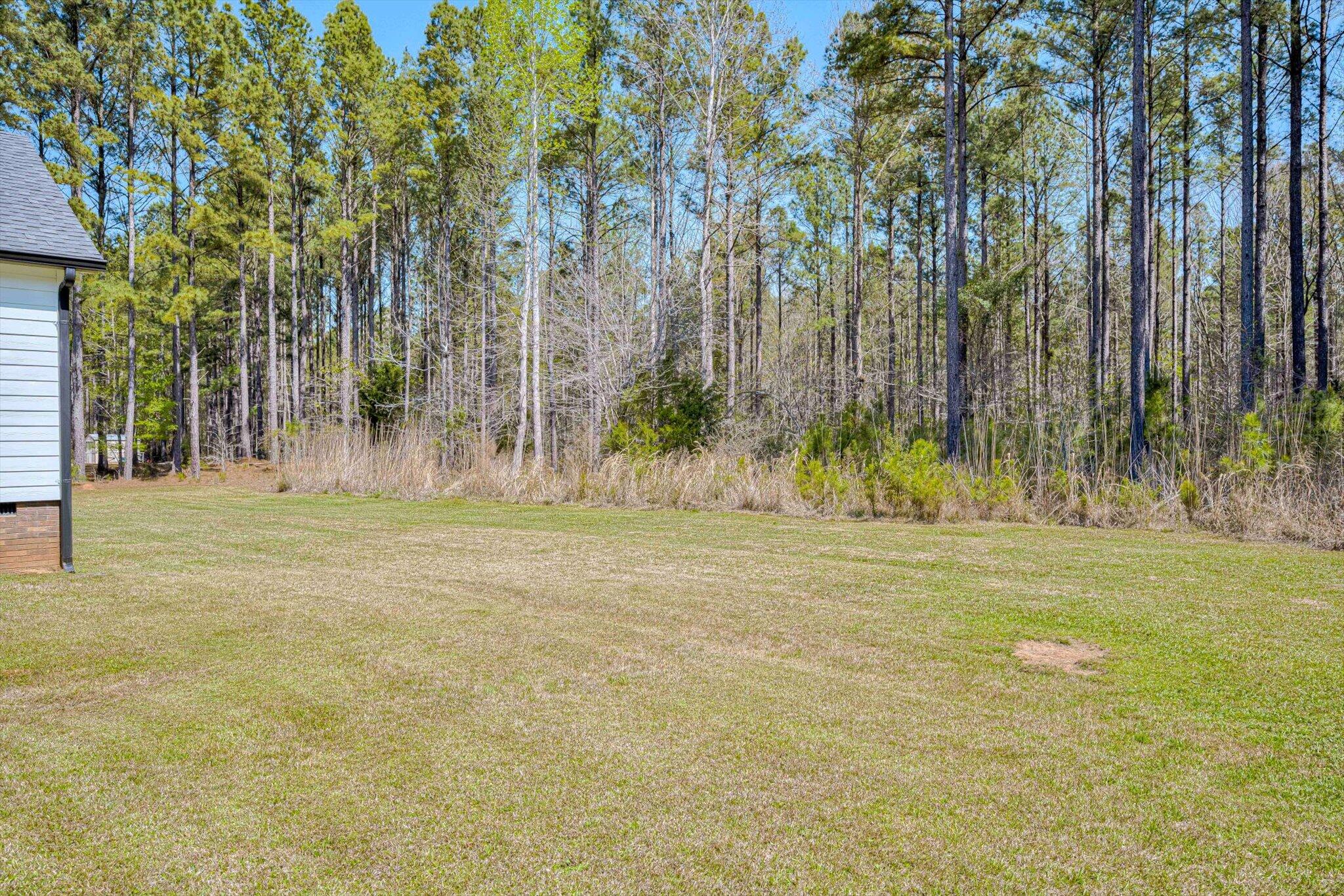 1576 Lewis Crook Road Lincolnton, GA 30817 - Photo 29 of 32 backyard