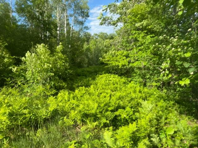 23506 Bazanis Road Cohasset, MN 55721 - Photo 10 of 15