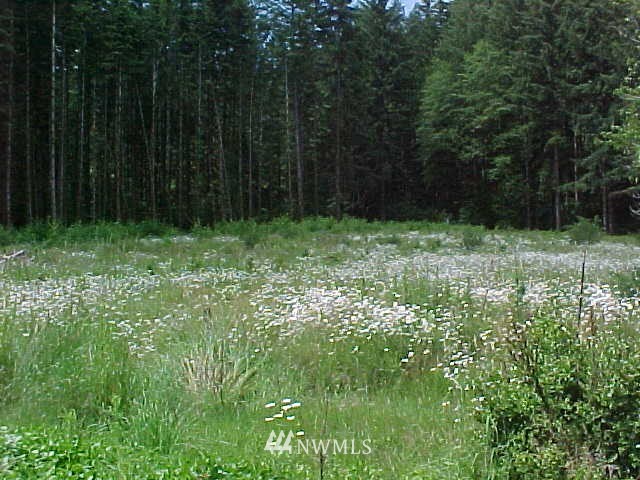 119 Fries Road Winlock, WA 98596 - Photo 10 of 11