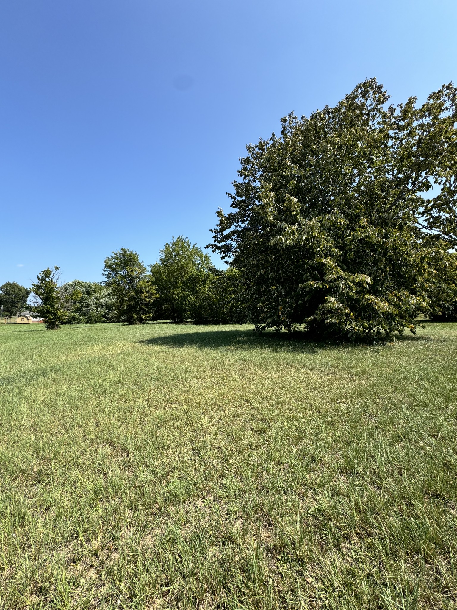 918 Shell Street Savannah, TN 38372 - Photo 3 of 7 Gallery Image 3