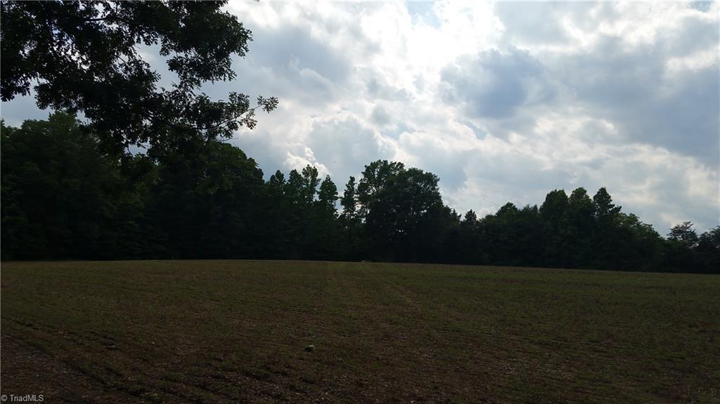 4316 McIntyre Road Gibsonville, NC 27249 - Photo 3 of 7 Gallery Image 3