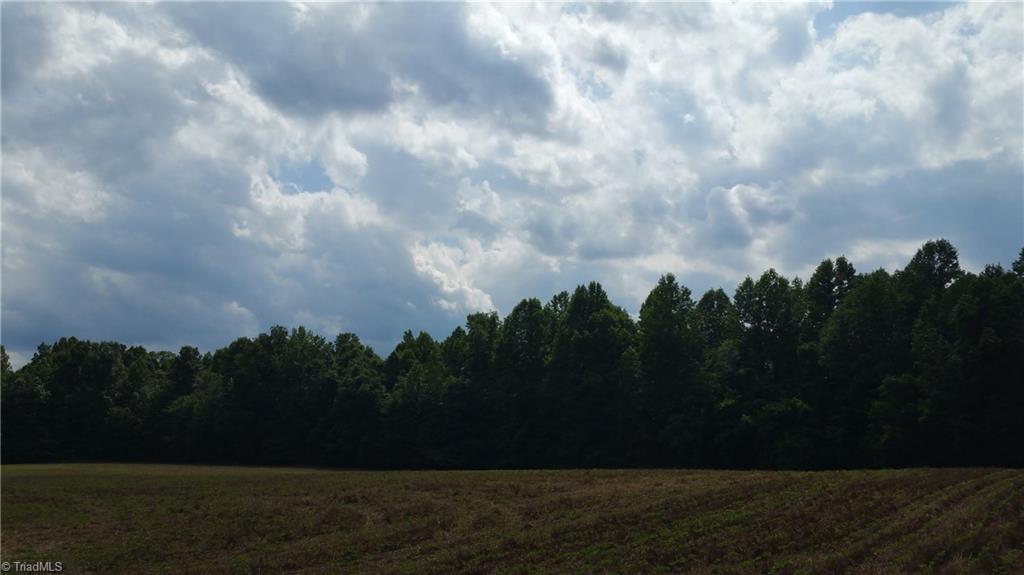 4316 McIntyre Road Gibsonville, NC 27249 - Photo 4 of 7 Gallery Image 4