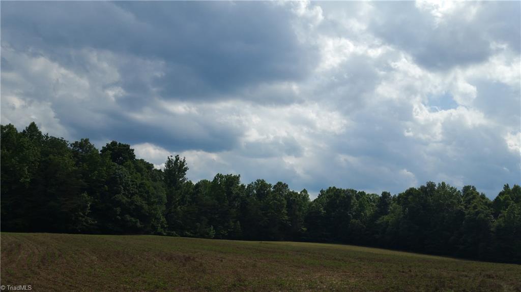 4316 McIntyre Road Gibsonville, NC 27249 - Photo 6 of 7 Gallery Image 6