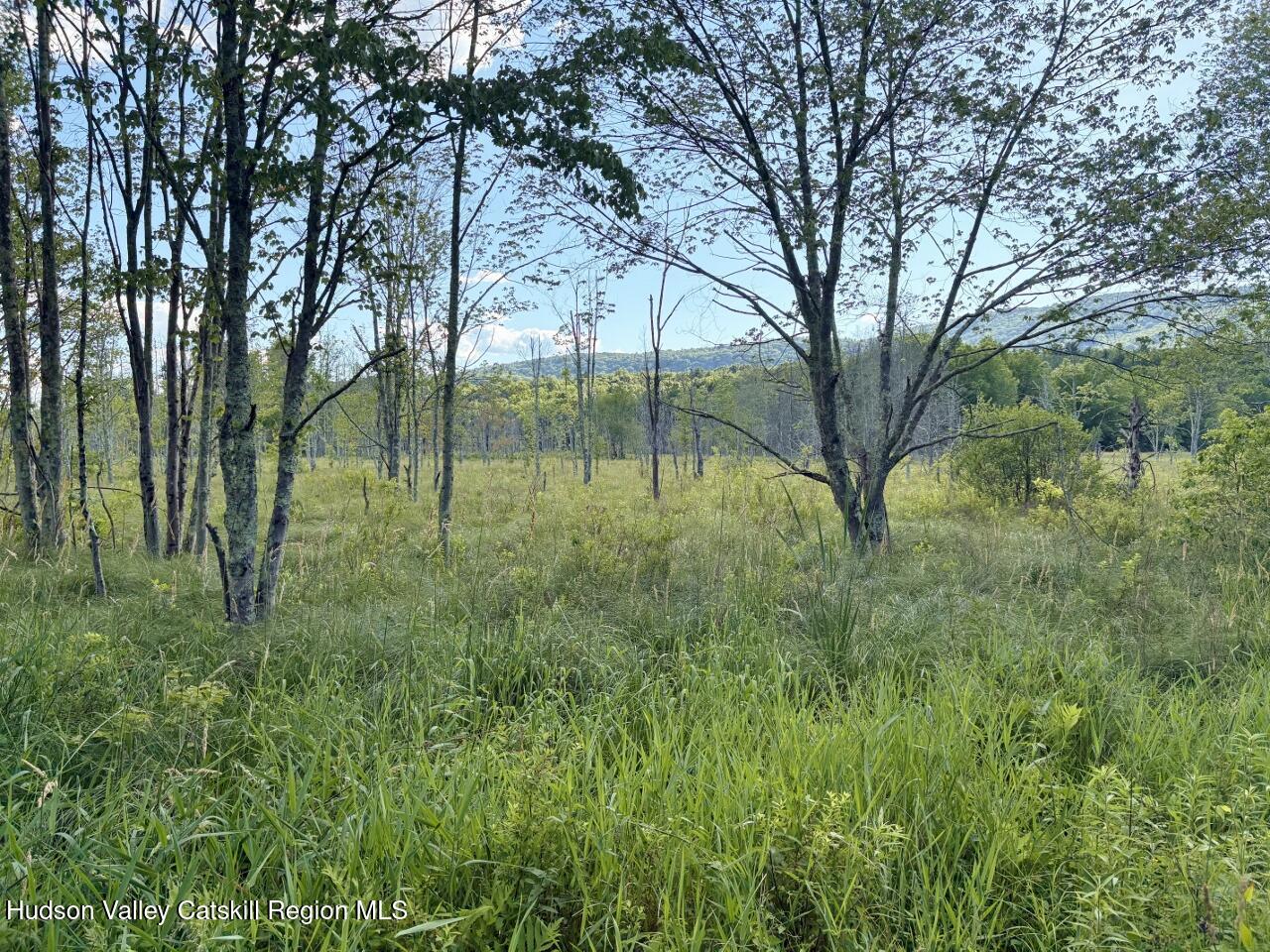 239 Springtown Road New Paltz, NY 12561 - Photo 15 of 42 Meadow