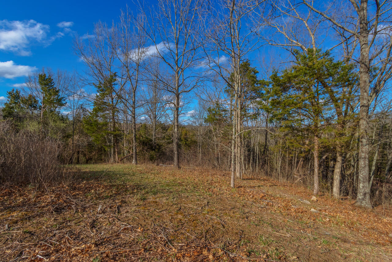 1 Camp Pleasant Road Frankfort, KY 40601 - Photo 46 of 67 082-2918-Cedar-Rd-Stamping-Ground-KY-403