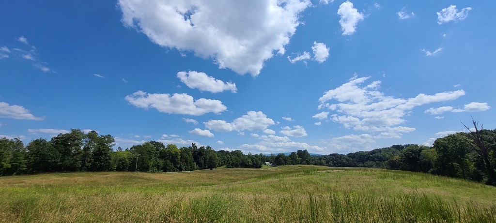 733 Athens Road Calhoun, TN 37309 - Photo 11 of 15 Gallery Image 11