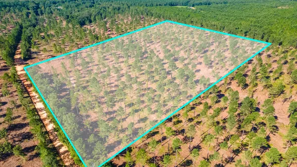$150,000 | Lot 2 Bluffwood Road, Wagener, SC 29164