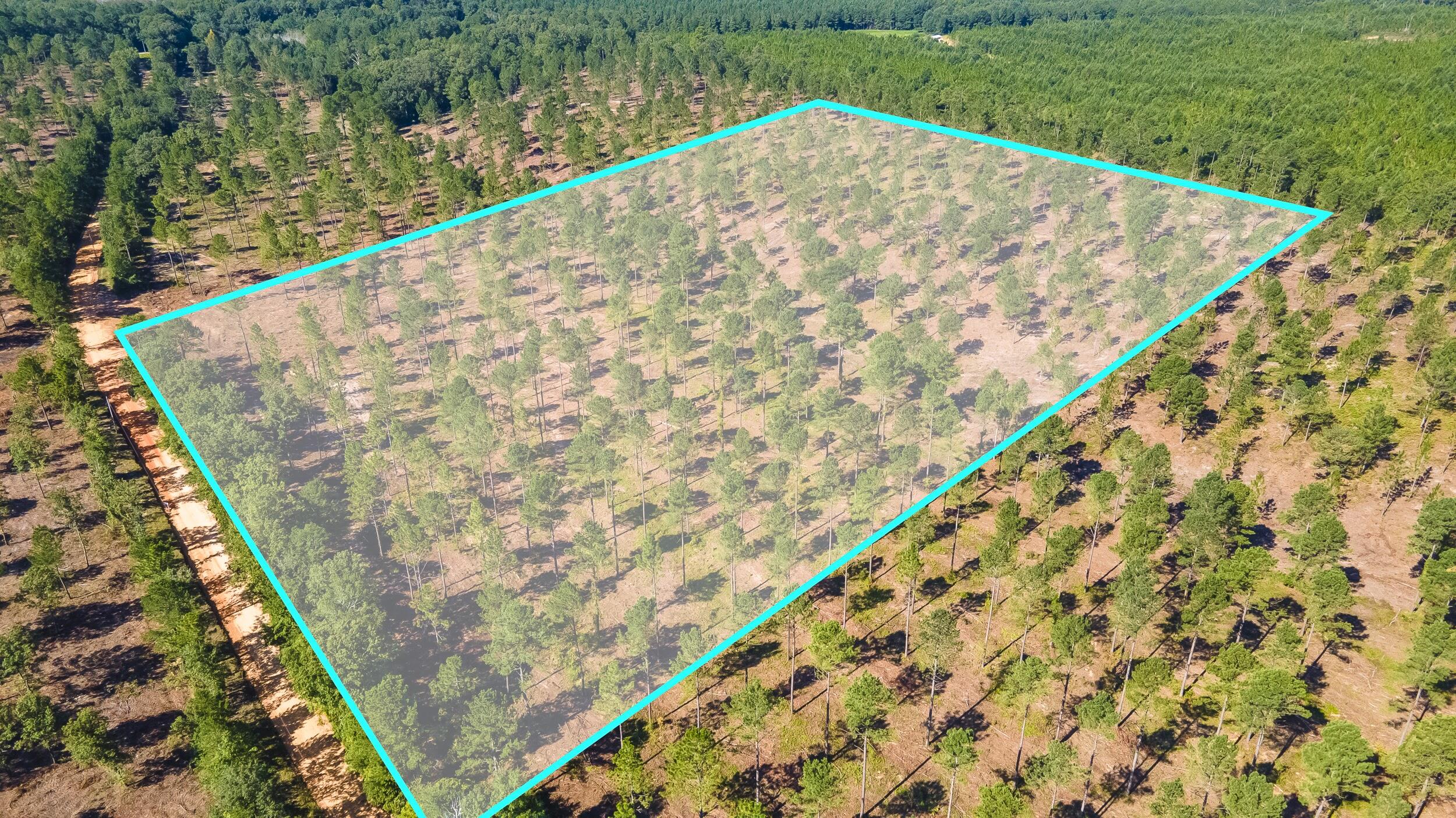 Lot 2 Bluffwood Road Wagener, SC 29164 - Photo 1 of 9