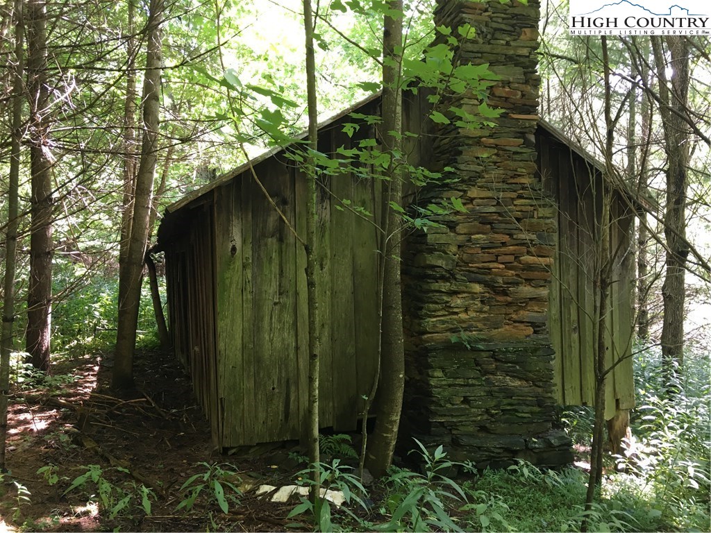 Irwin Grocery Road Laurel Springs, NC 28644 - Photo 11 of 15