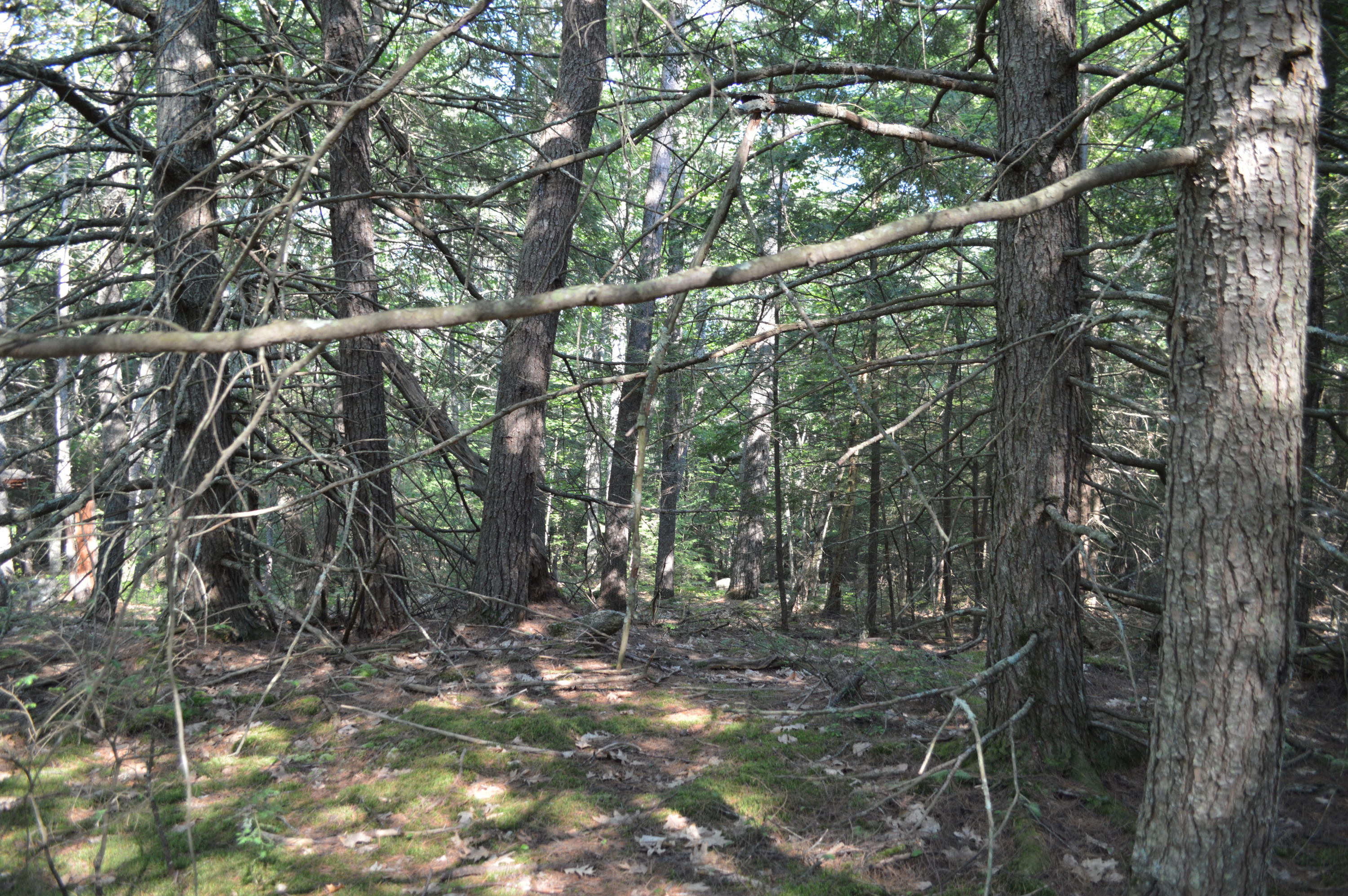 0 Johnson Road Windham, ME 04062 - Photo 20 of 24 .