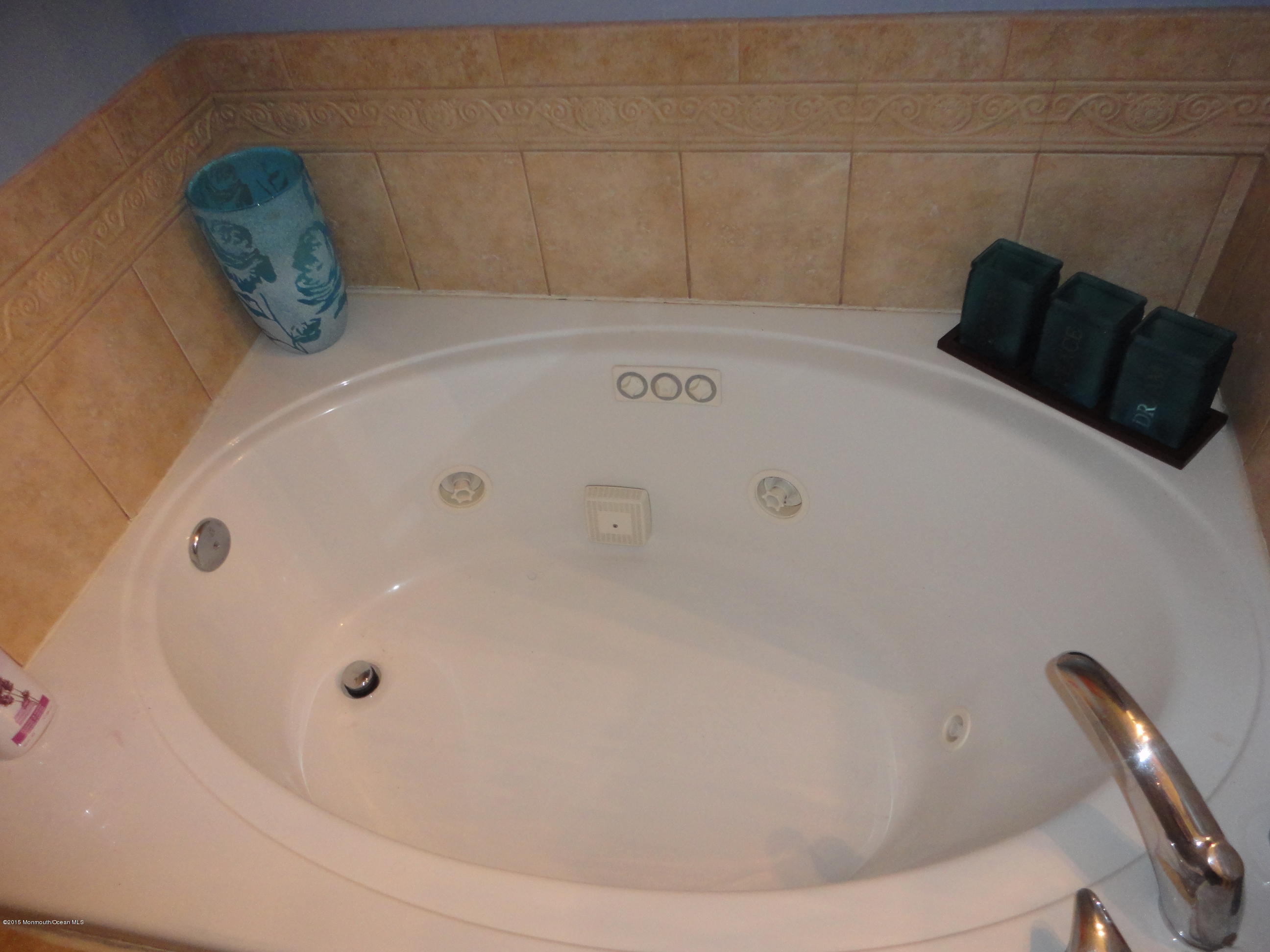 1 Saxton Road, Unit 64 Farmingdale, NJ 07727 - Photo 28 of 32 Jacuzzi