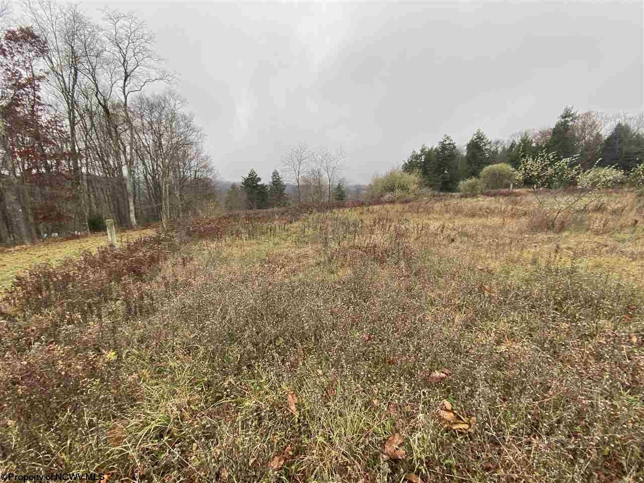 Lot 60 Snowy Ridge Terra Alta, WV 26764 - Photo 1 of 14 Gallery Image 1