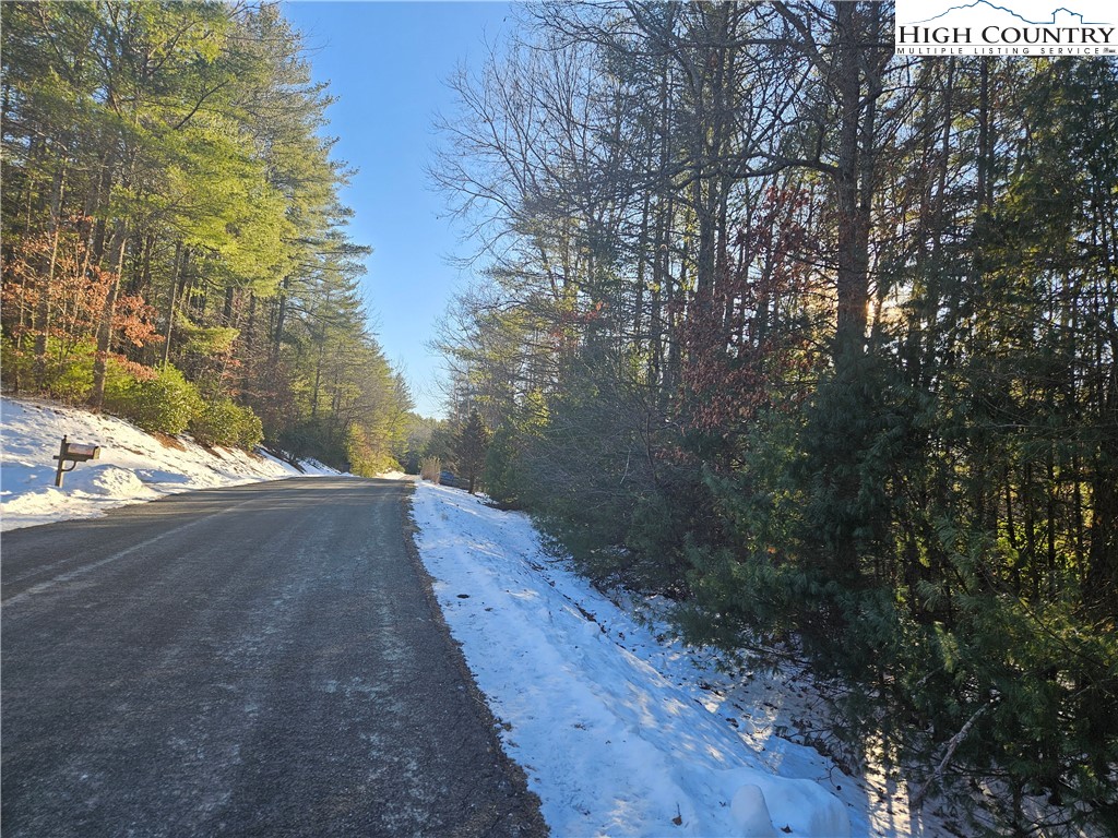 Holly Run Glade Valley, NC 28627 - Photo 11 of 11 a view of a yard with a tree