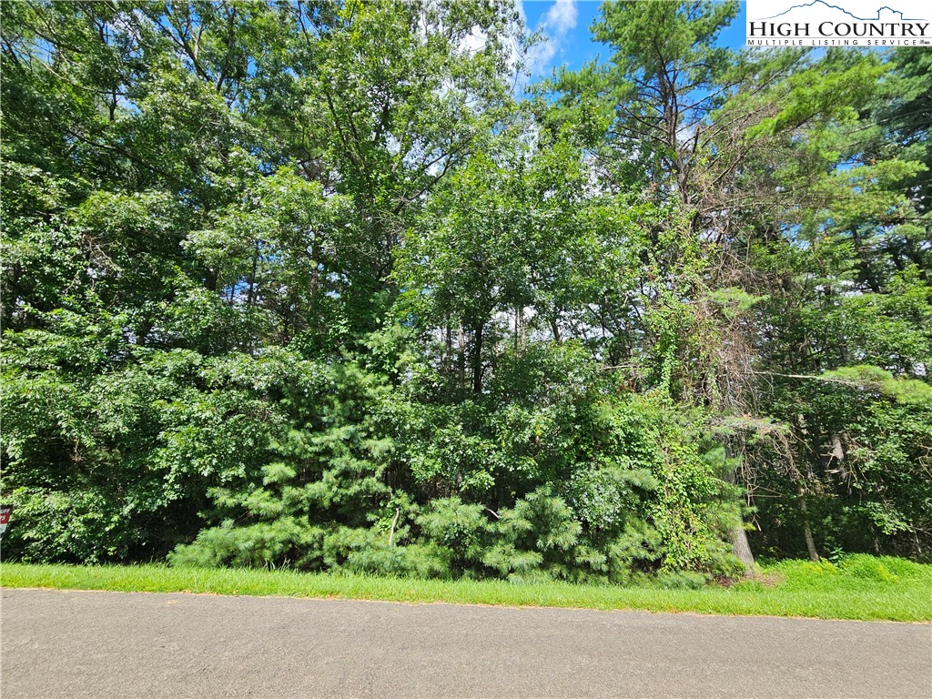 Holly Run Glade Valley, NC 28627 - Photo 4 of 11 a view of a garden