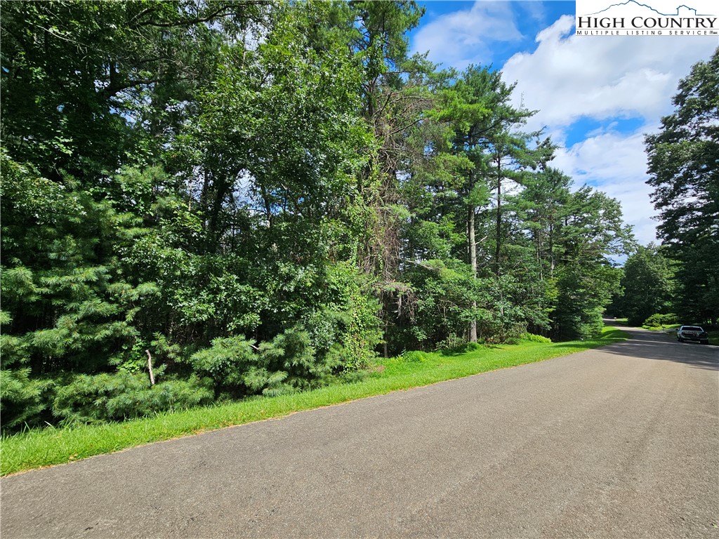 Holly Run Glade Valley, NC 28627 - Photo 6 of 11 a view of a green field with a tree