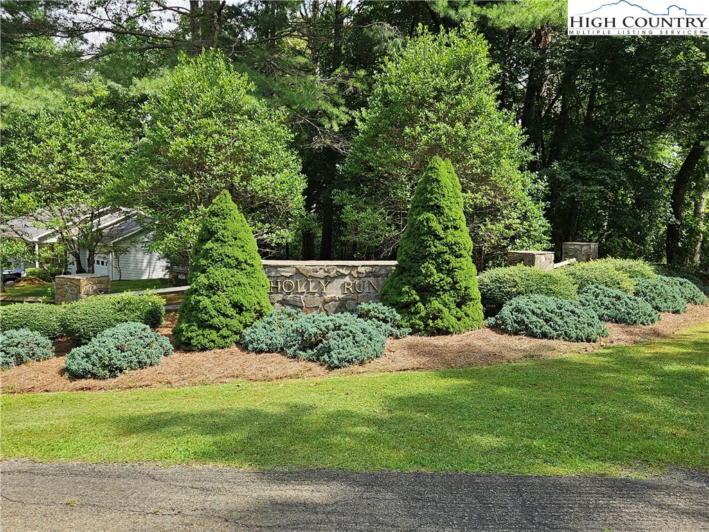 Holly Run Glade Valley, NC 28627 - Photo 7 of 11 a view of backyard with green space
