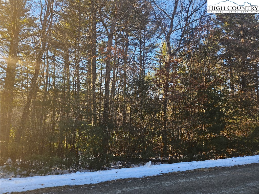 Holly Run Glade Valley, NC 28627 - Photo 8 of 11 a view of a yard