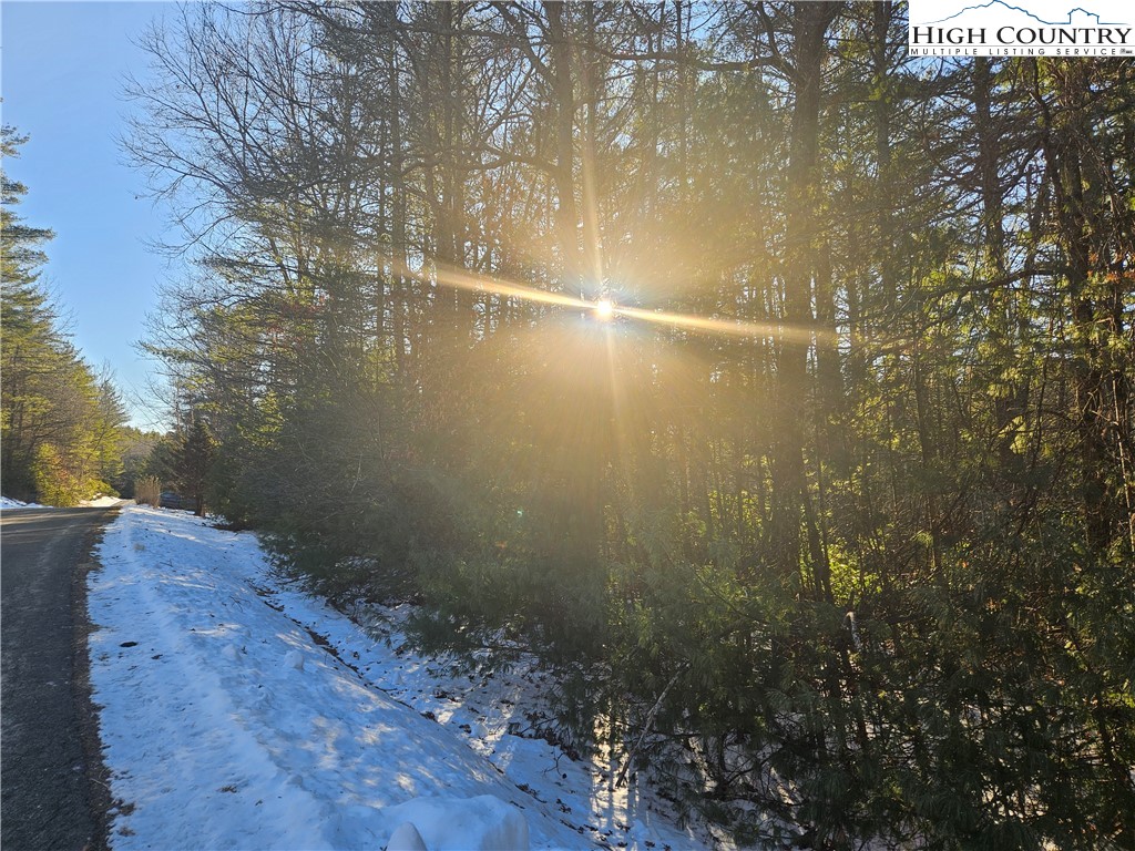 Holly Run Glade Valley, NC 28627 - Photo 9 of 11 a view of a yard