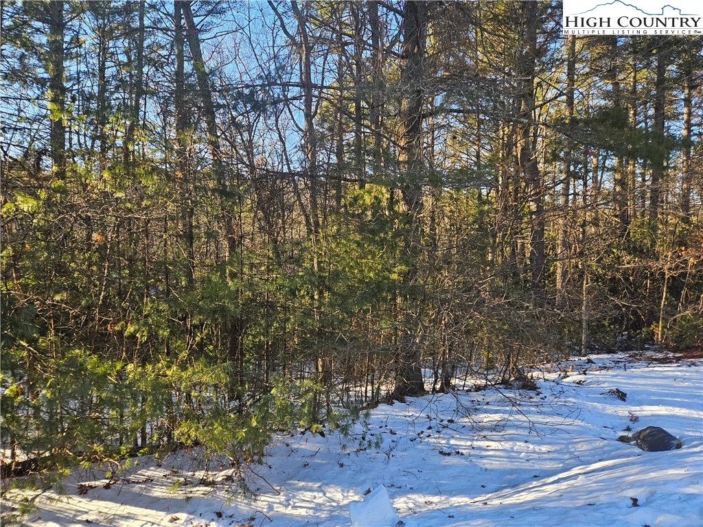 Holly Run Glade Valley, NC 28627 - Photo 10 of 11 a view of a yard with plants and trees