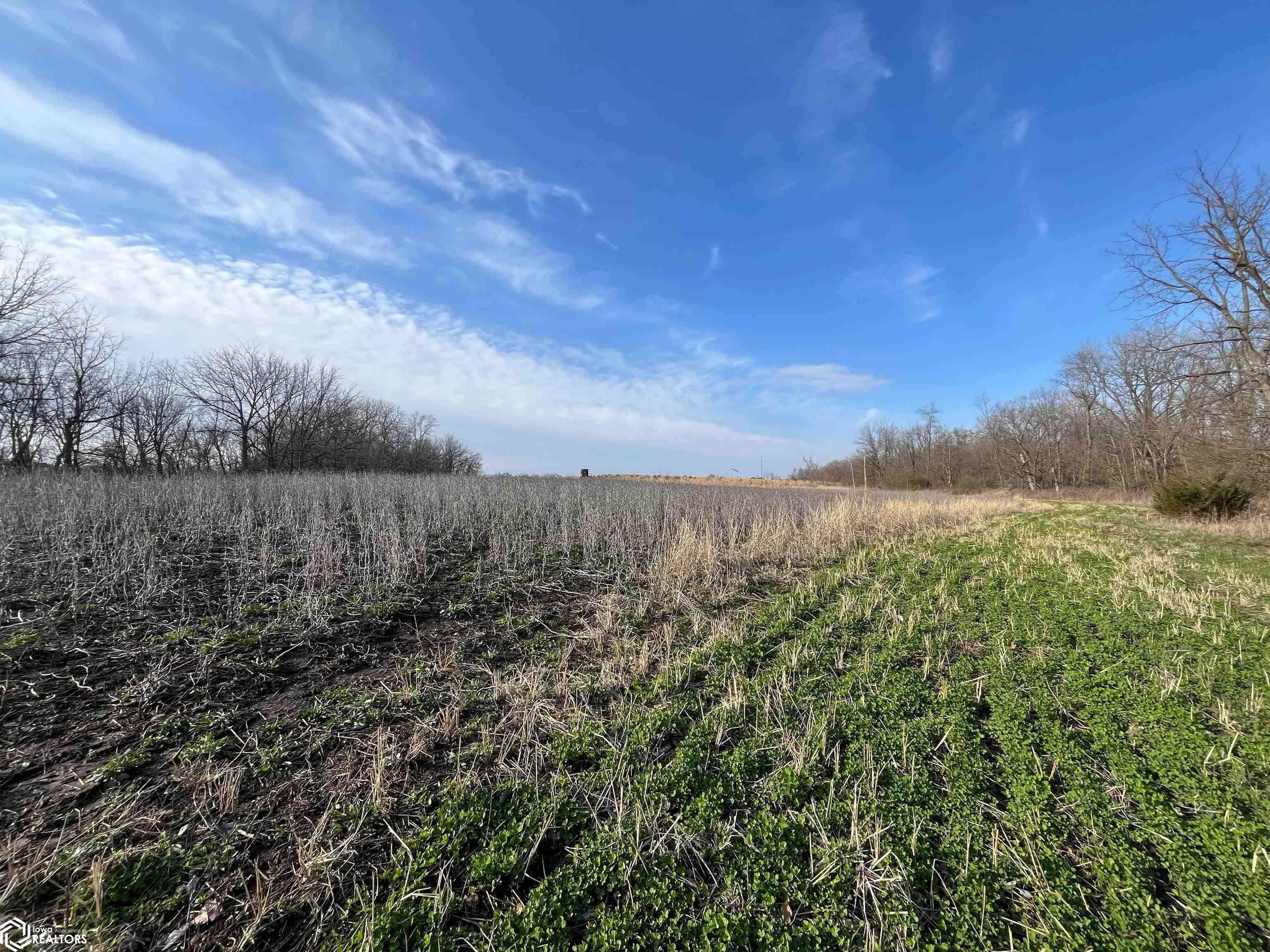 194th Avenue Decatur, IA 50067 - Photo 27 of 50 Gallery Image 27