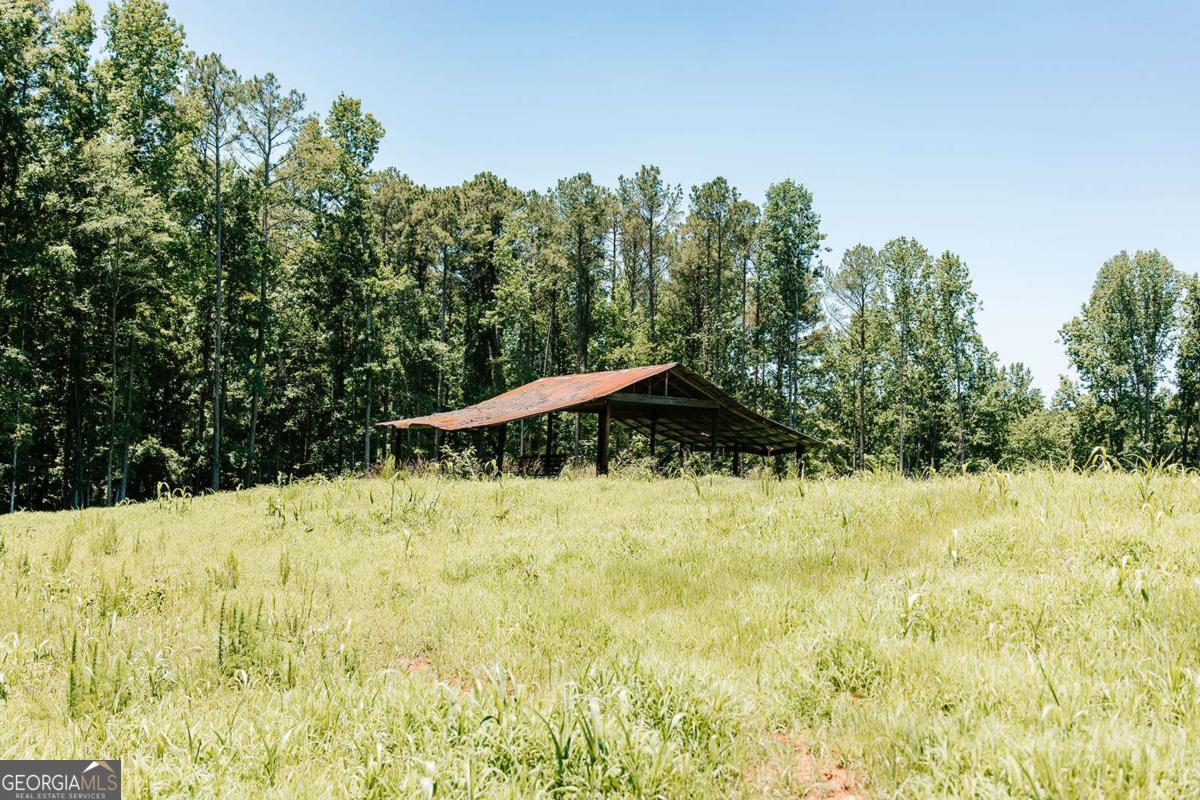 0 Mitchell Farm Road Colbert, GA 30628 - Photo 11 of 45