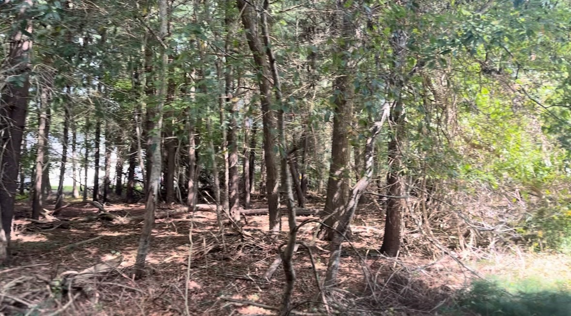 10 Bowler Road Wareham, MA 02571 - Photo 3 of 4 Gallery Image 3