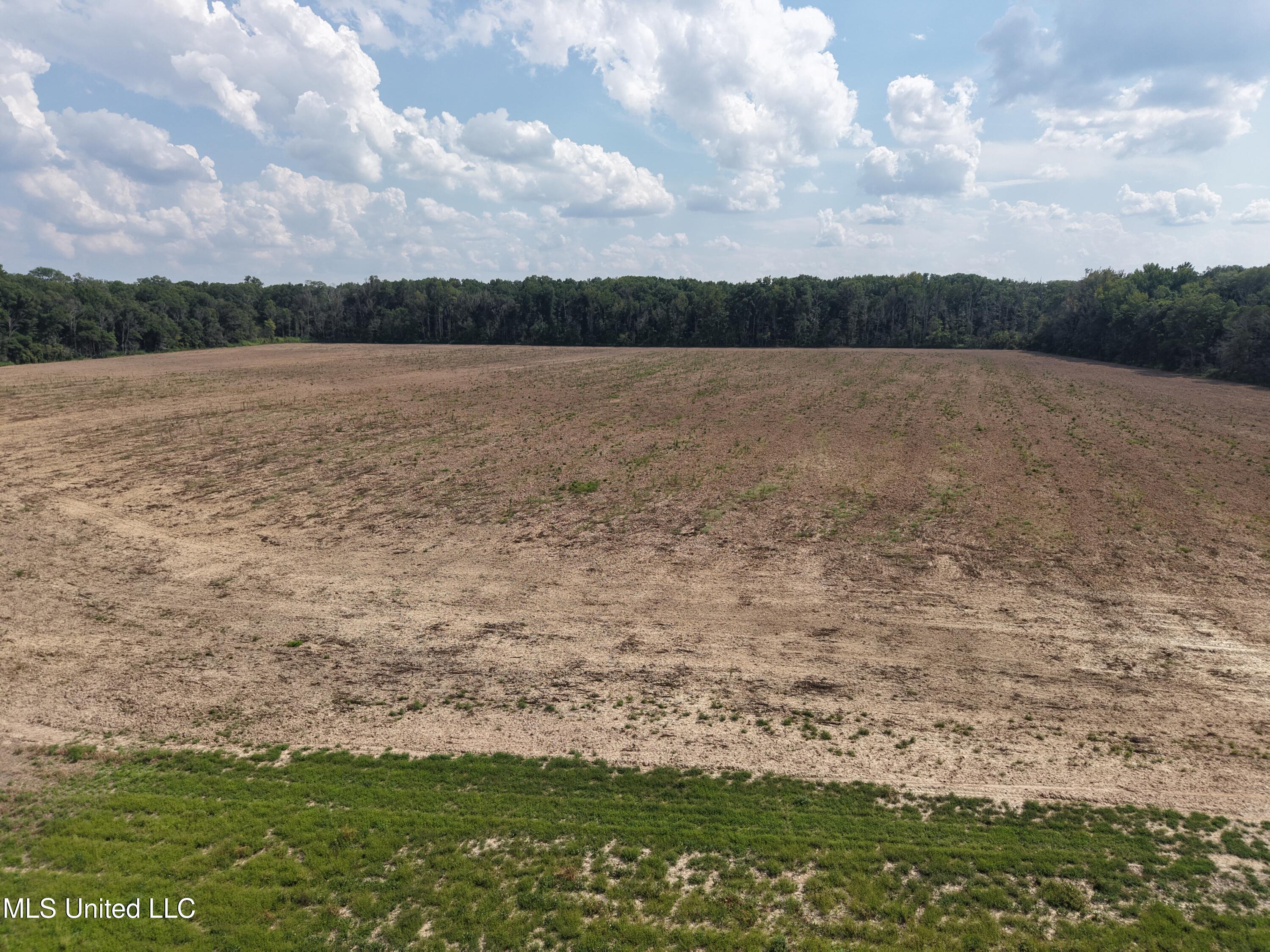 St Bayou Road Anguilla, MS 38721 - Photo 8 of 14 DJI_20250903150322_0024_D