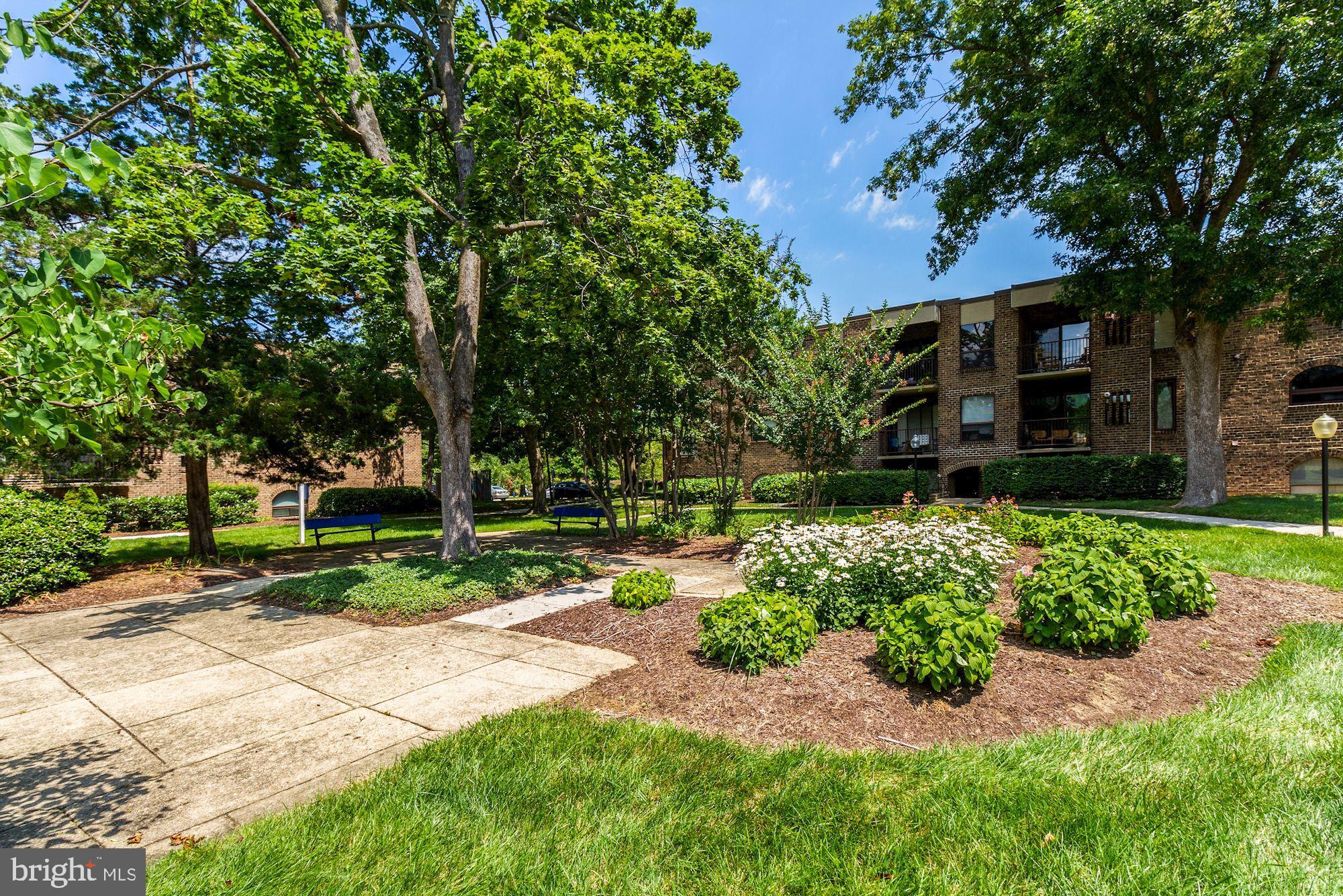 140 Georgetown Road, Unit 11 Annapolis, MD 21403 - Photo 3 of 42 Partially-Treed Courtyard