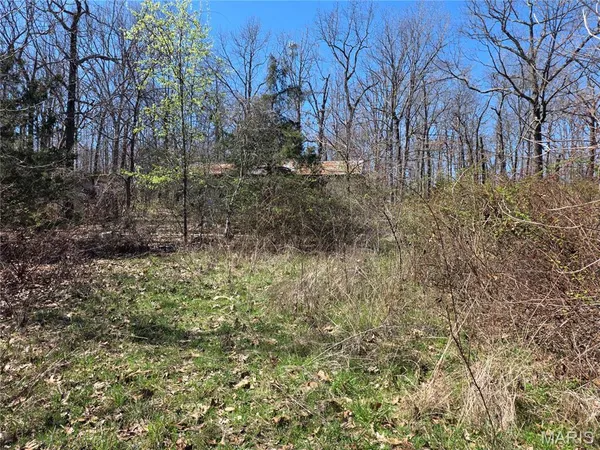 $49,900 | 12496 Eveningshade Road, Plato, MO 65552