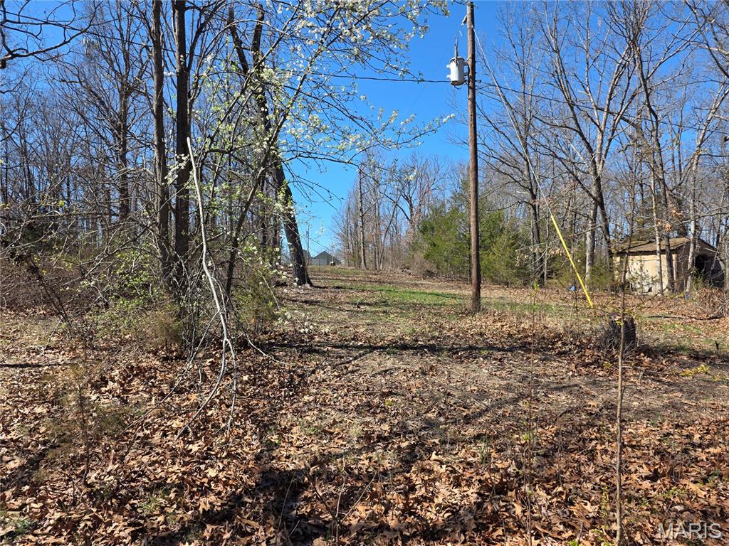 12496 Eveningshade Road Plato, MO 65552 - Photo 6 of 10