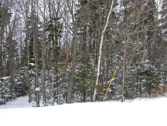 9 Vt Route Wilmington, VT 05363 - Photo 1 of 1 Gallery Image 1