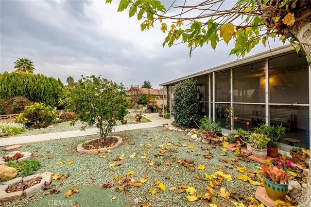 a view of a garden with a chair and potted plants