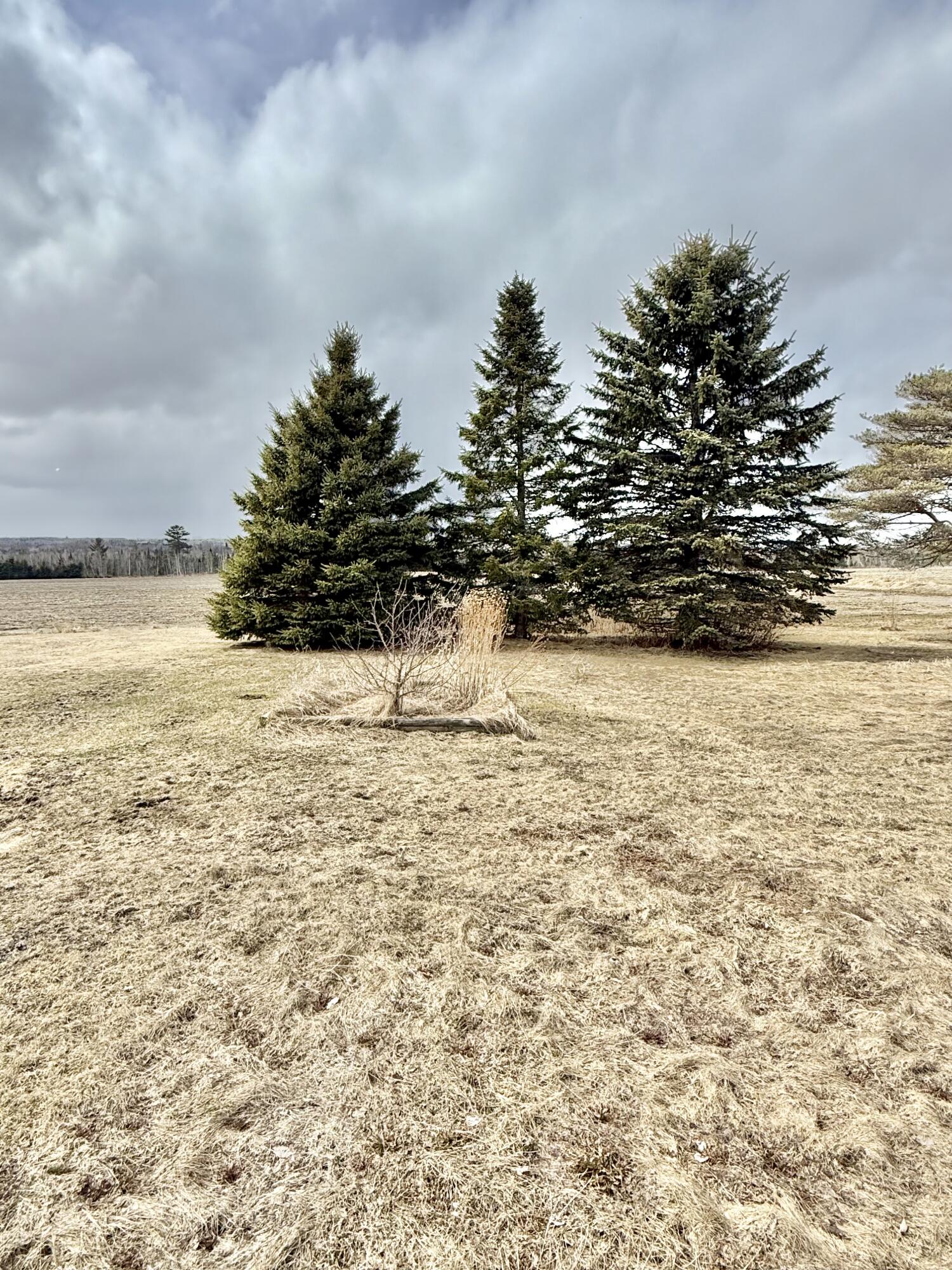 808 Madawaska Road Caribou, ME 04736 - Photo 13 of 84 Exterior