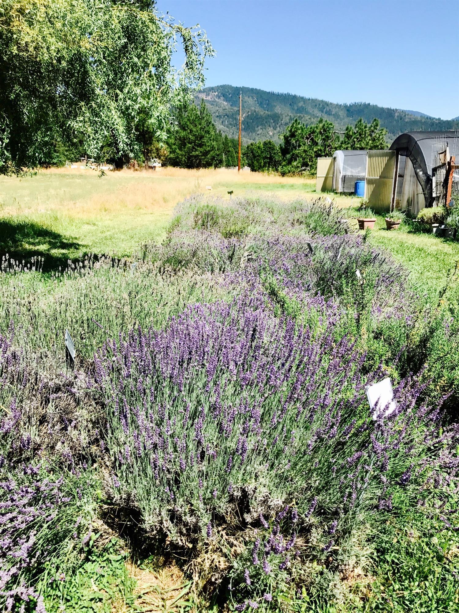970 Cedar Flat Road Williams, OR 97544 - Photo 22 of 29 Additional Photo