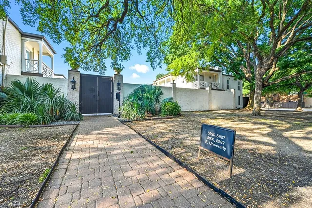 a view of a yard with plants and large trees